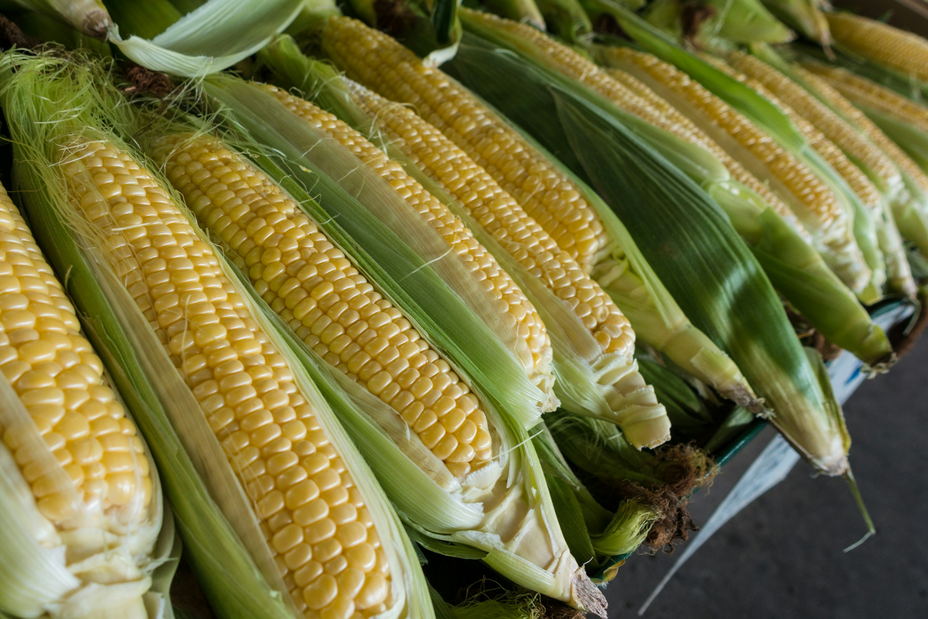 Cajun roasted corn and sides